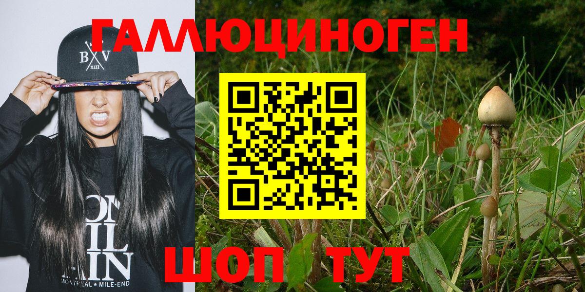 Псилоцибиновые грибы Magic Shrooms  Галлюциногенные грибы GOLDEN TEACHER  Касимов  Вход с VPN 